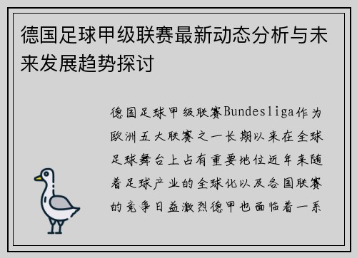 德国足球甲级联赛最新动态分析与未来发展趋势探讨